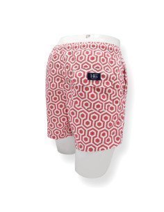 BAÑADOR ESTAMPADO 2